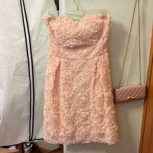 Zara Strapless Textured Dress in Blush